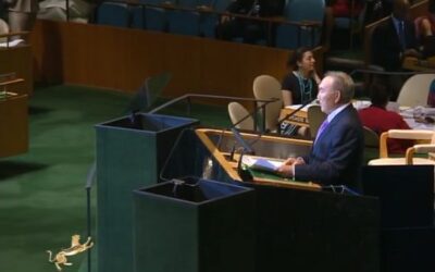 Диалог и сотрудничество